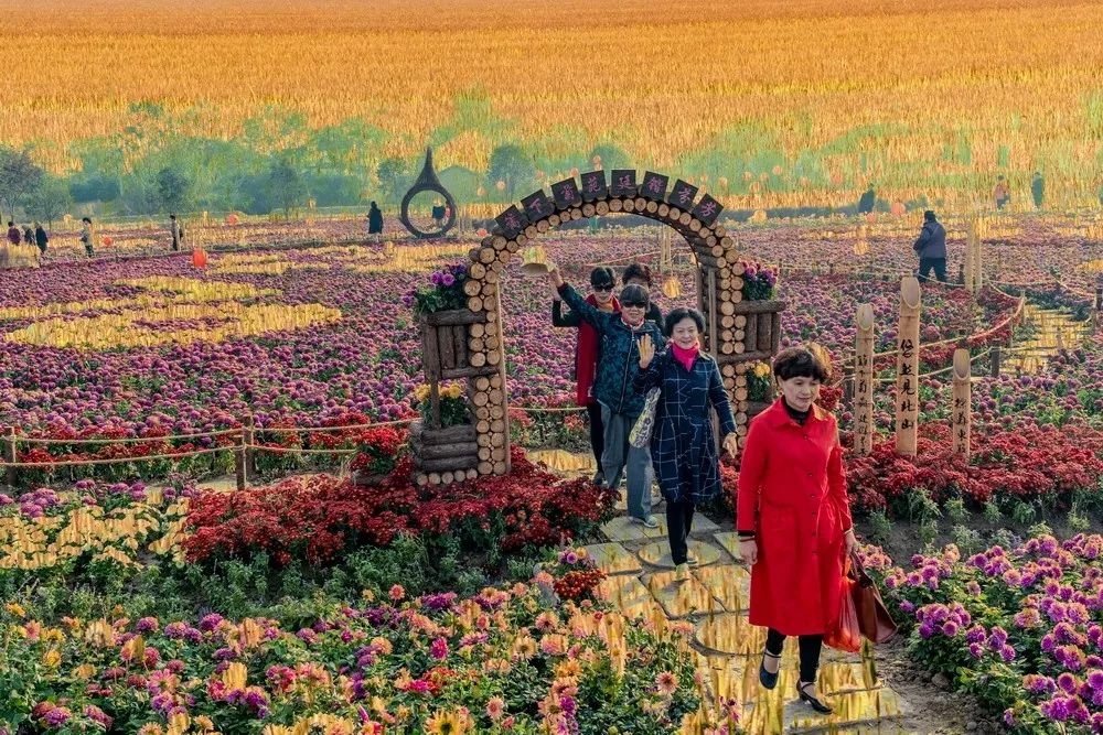 溧阳庆丰村怎么突然火了起来,答案或许就在这里