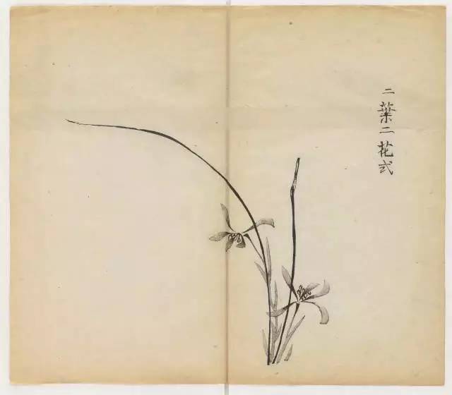 毛笔怎么画兰草,怎么画兰花和书法