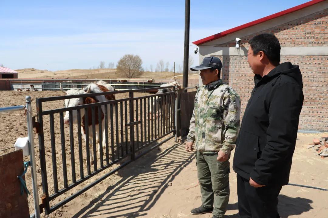 【同心奔小康】小八仙筒村：牛人·牛事·牛日子