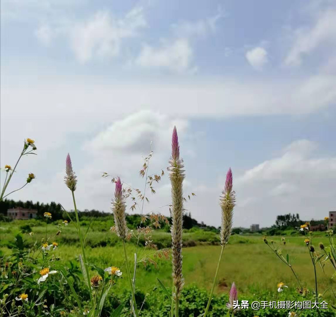 拍出好照片的5大摄影心法,摄影做减法技巧