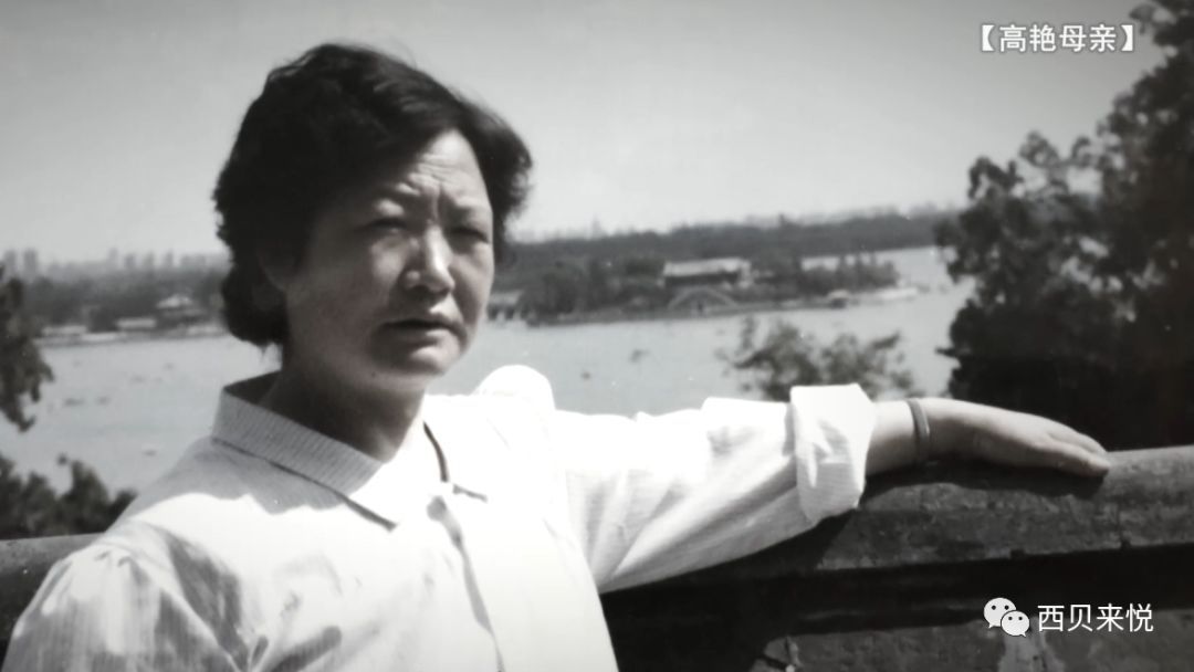 西贝来悦亚麻籽油,亚麻籽油抗癌吗