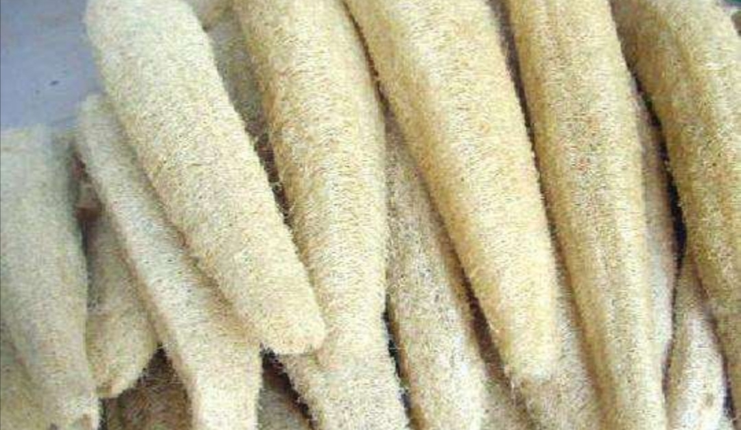 养花积水垫什么,养花排水层用什么最好