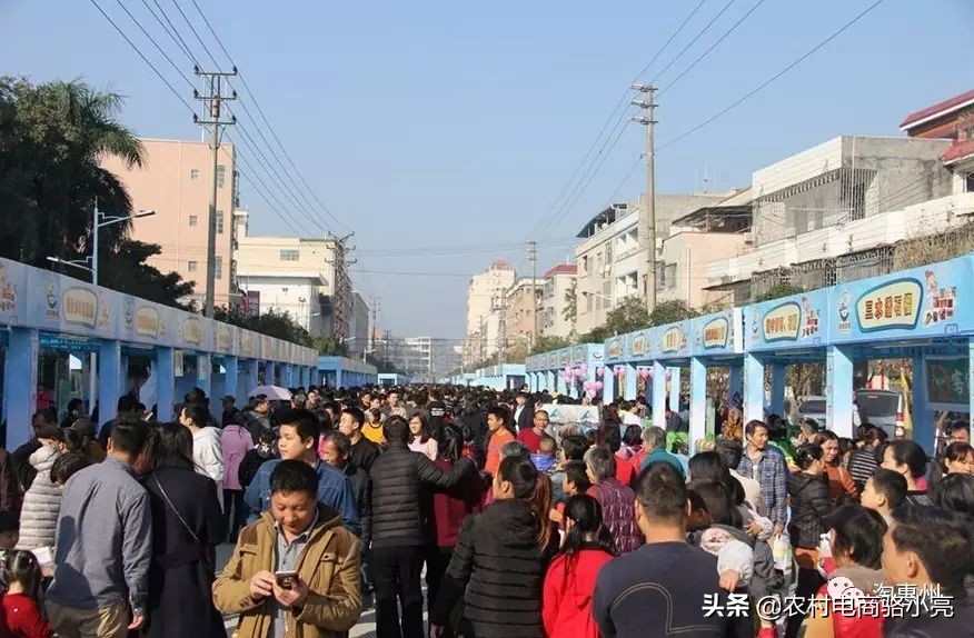 广东金巢电子商务股份公司发展历程和简介