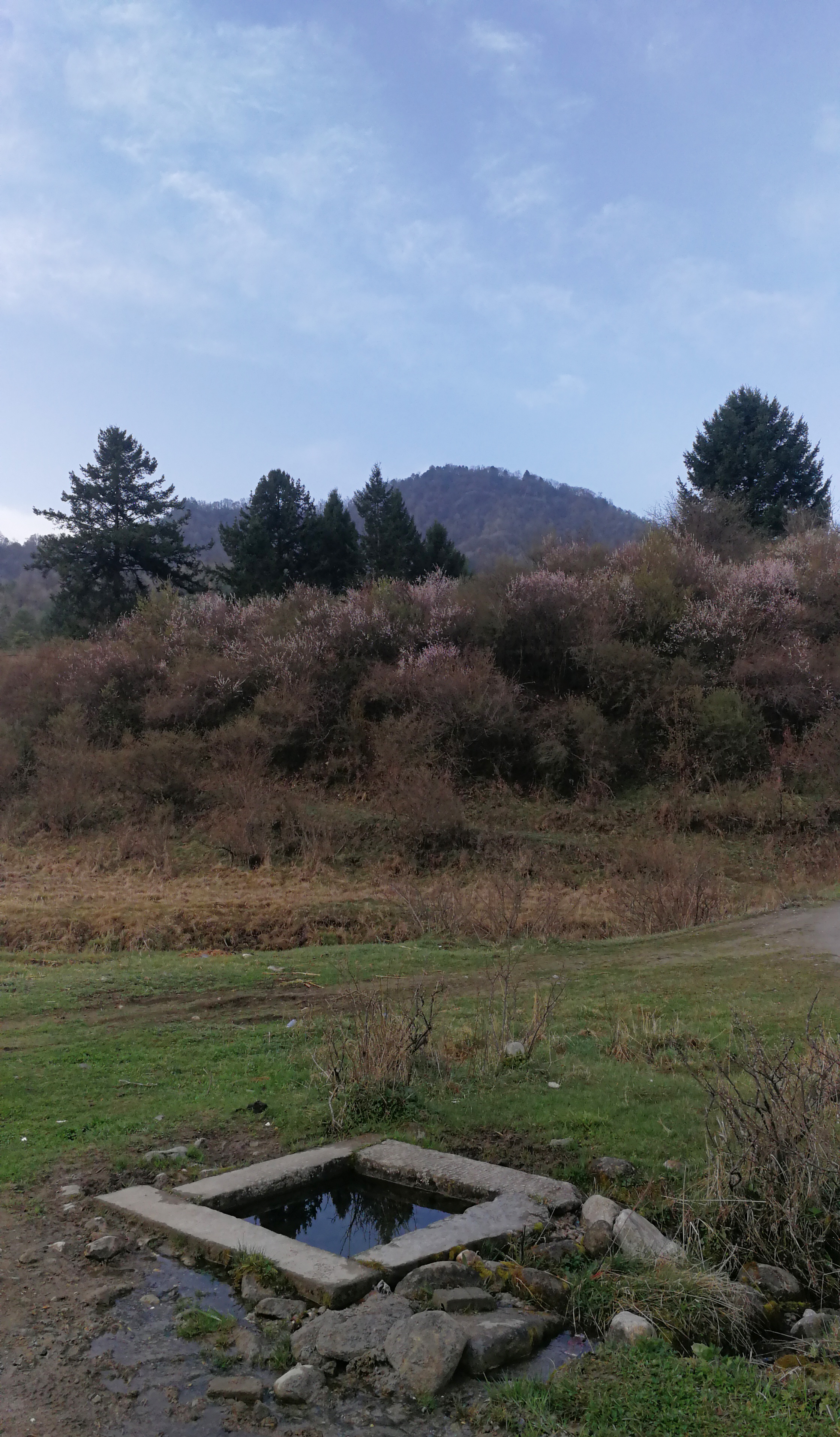 西安周至踏青赏花的路线攻略,周至老县城旅游攻略