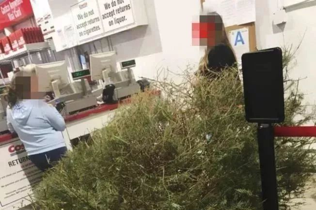 超市全部怪物大盘点,超市怪物完整版