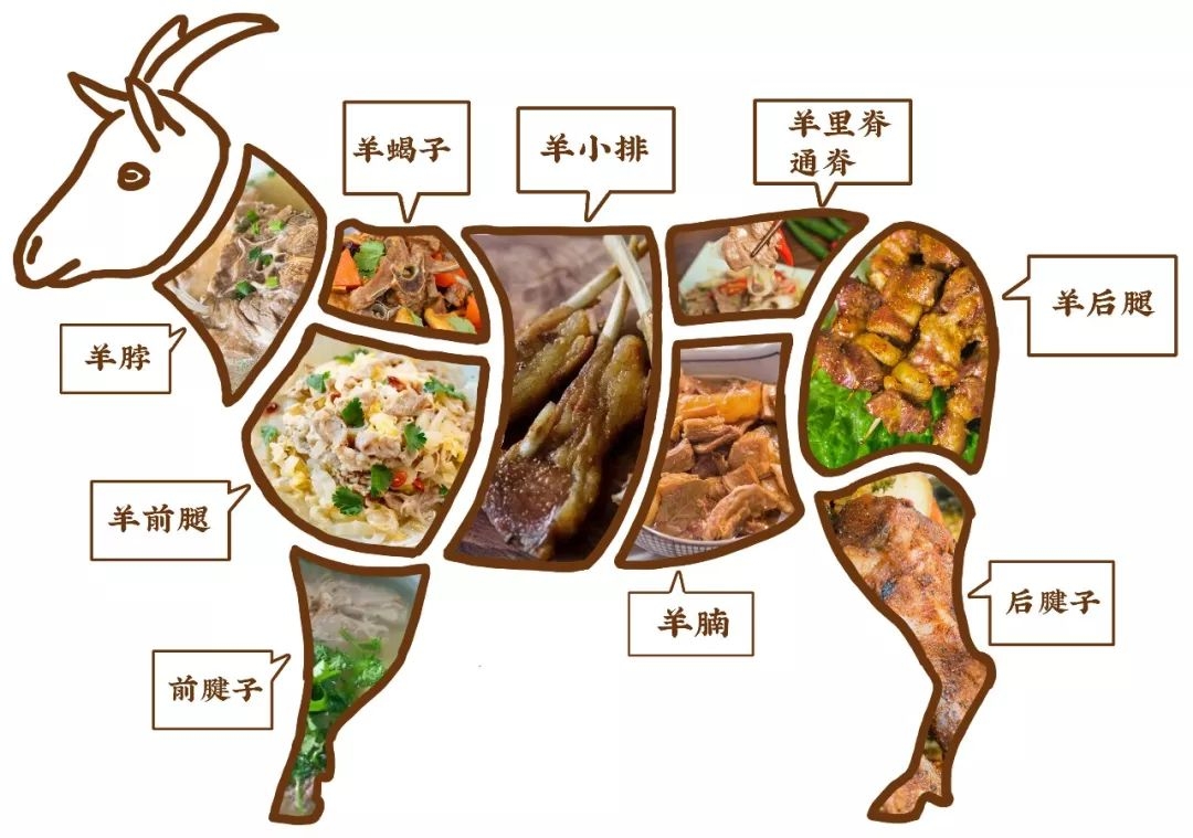 羊身上哪里肉贵,羊身上哪个部位便宜