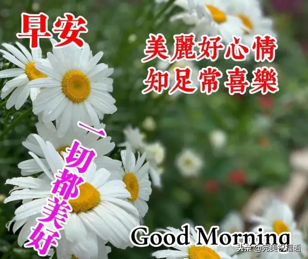 微信特好看早上好问候语表情图片,早上好微信问候语大全带表情包