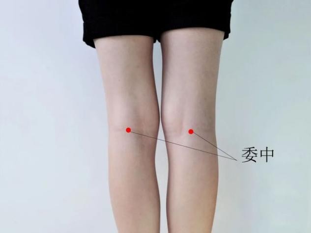 想去除湿气吃什么药,想祛除湿气喝什么