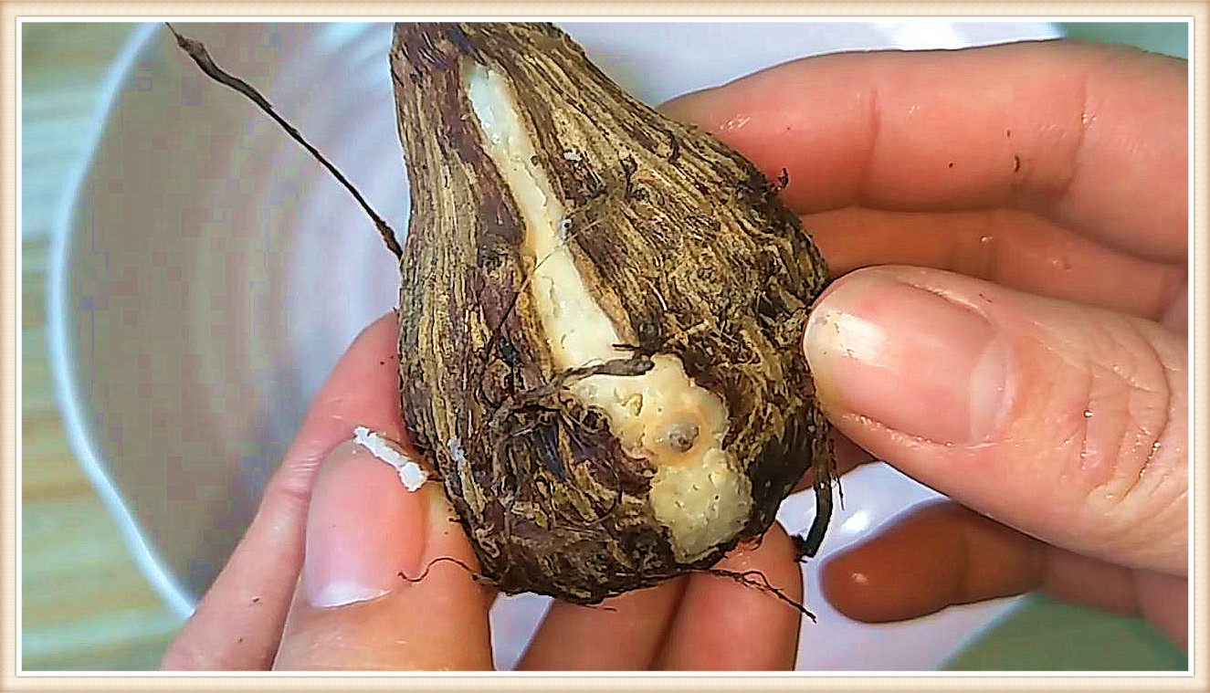 香芋怎么剥皮最快最好,香芋剥皮后手痒怎么办