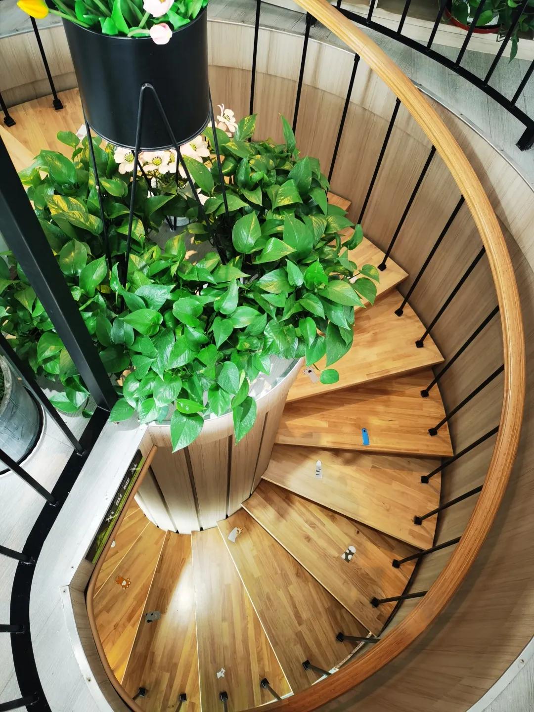 天津天塔里面都有什么,天津的宝藏地点