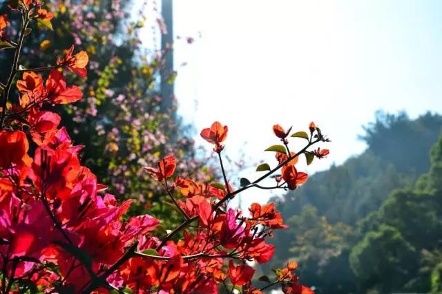 厦门适合爬的山,爬山还有哪些小知识