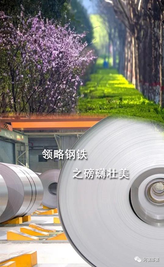 娌抽挗閭挗閾佽矾,娌抽挗閭挗楂樼倝