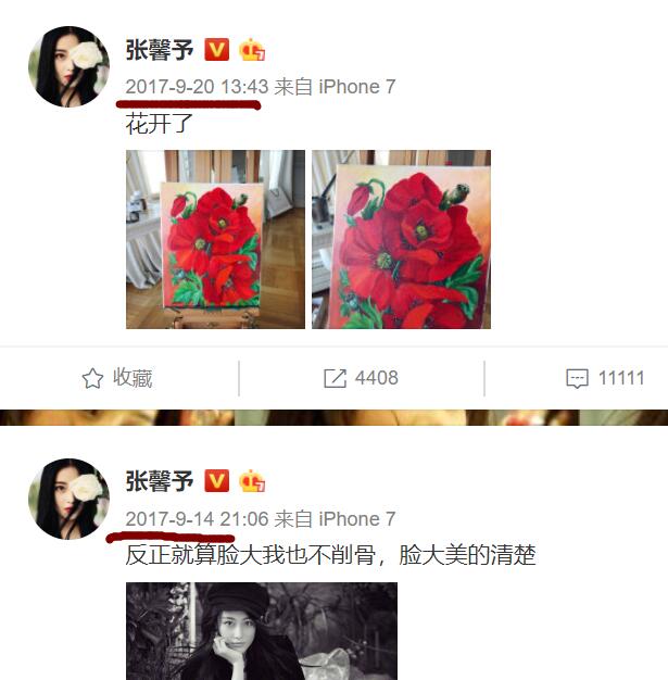 张馨予和范冰冰现状,张馨予范冰冰在一起了吗