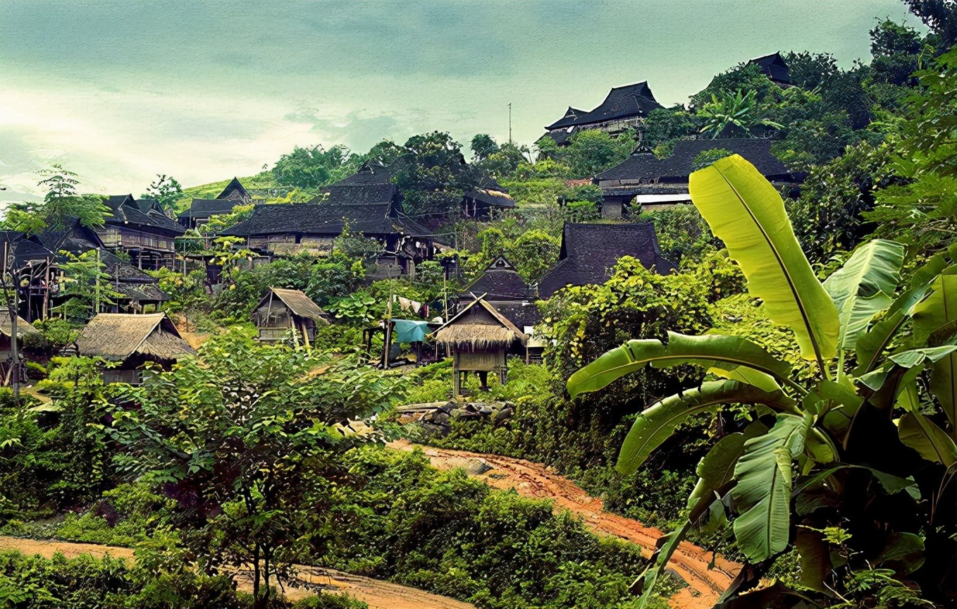 西双版纳简介是在哪里,西双版纳植物园概况