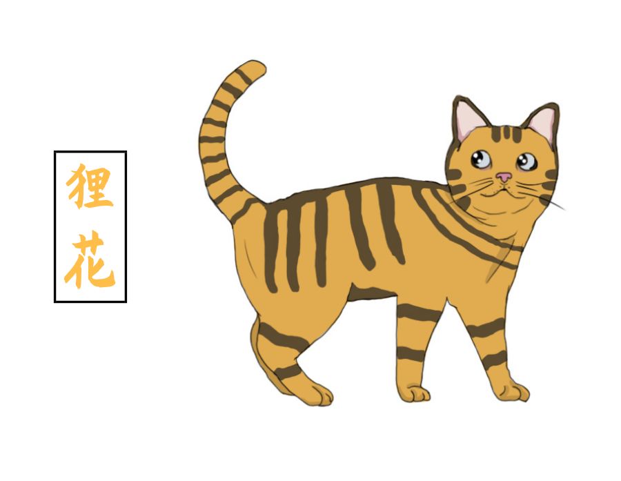 你养的猫在古代都叫什么名字,想知道你家猫在古代是什么样子吗