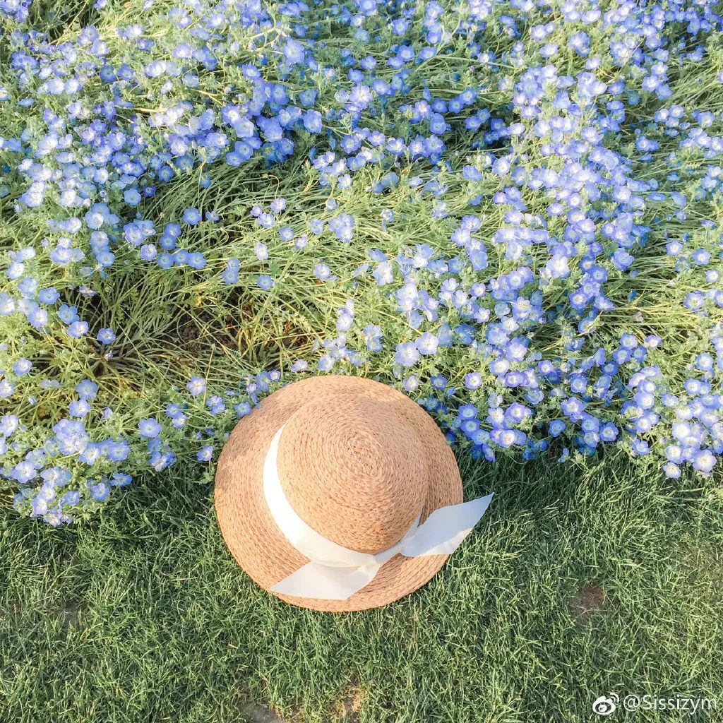 戴口罩的春节,戴口罩的冬天过去了