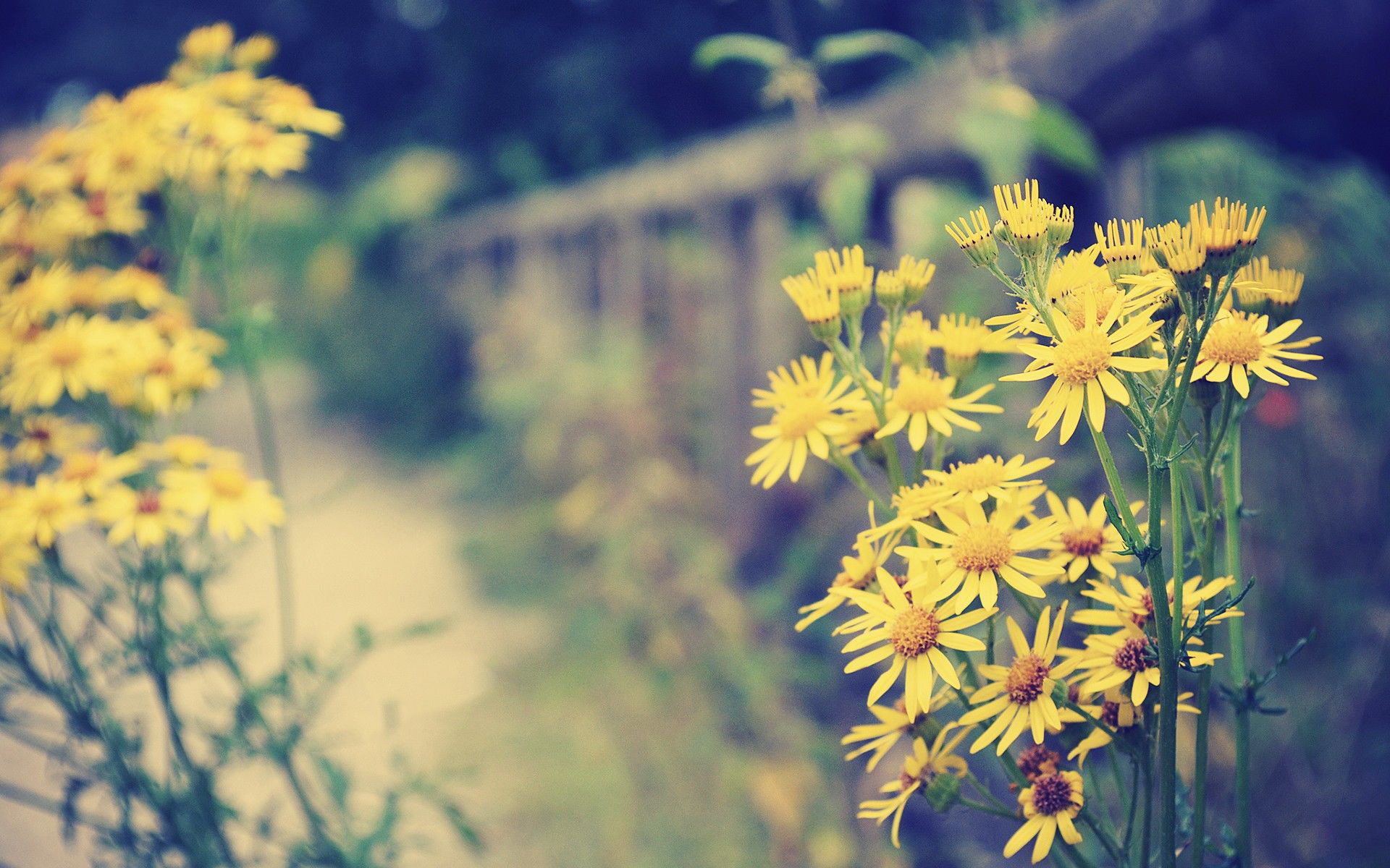 一无所有的年纪生活状态,一无所有的年纪生活有七个状态