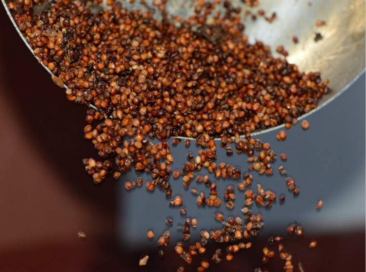 什么样的坤沙酒最好,白酒小知识图片大全