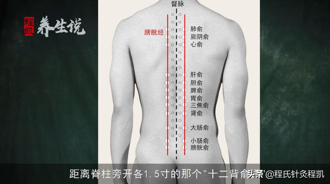 程凯养生说:内脏有病,找找脊柱痛点