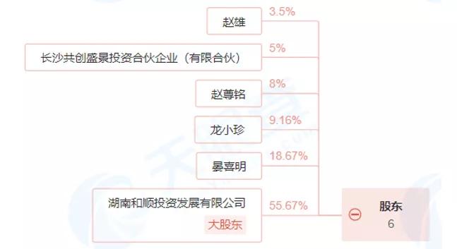 和顺石油特许加油站,和顺石油加油站数量