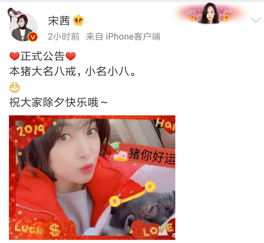 宋茜赵丽颖最新综艺节目,赵丽颖宋茜最新视频