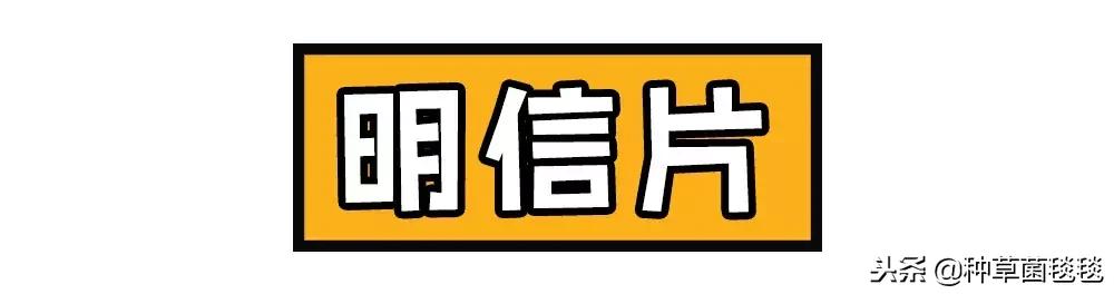 女人办公室必备物品,女生办公必备物品