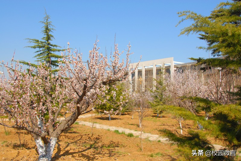 莱州市第一中学简介,采访莱州市第一中学