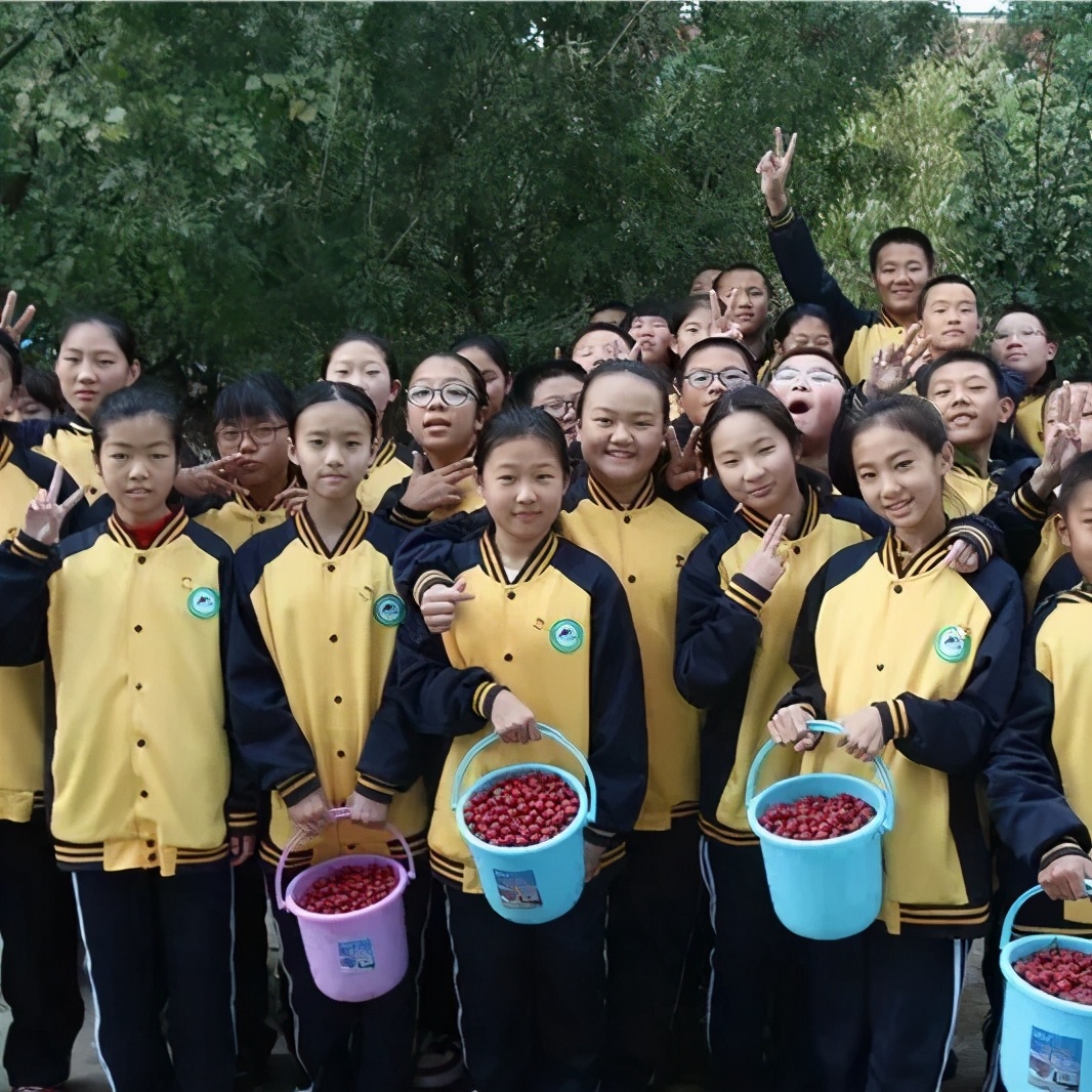 北京所有小学排名一览表,北京30所小学排名一览表