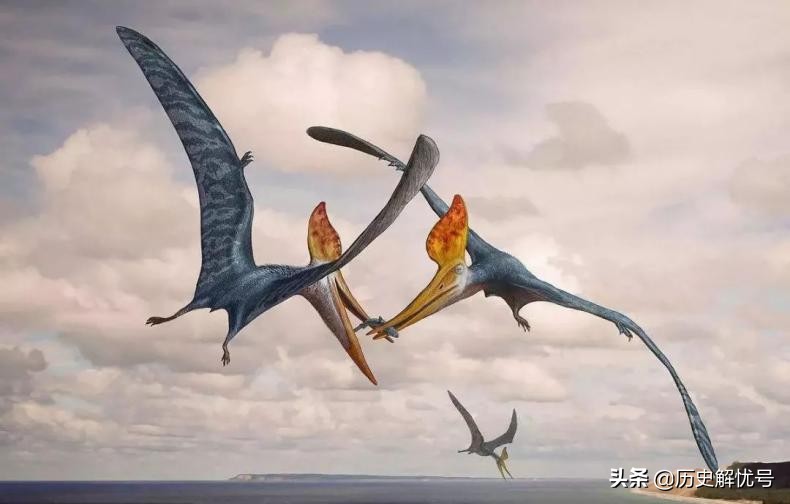 美国人抓巨型翼龙图片,美国人抓巨型翼龙