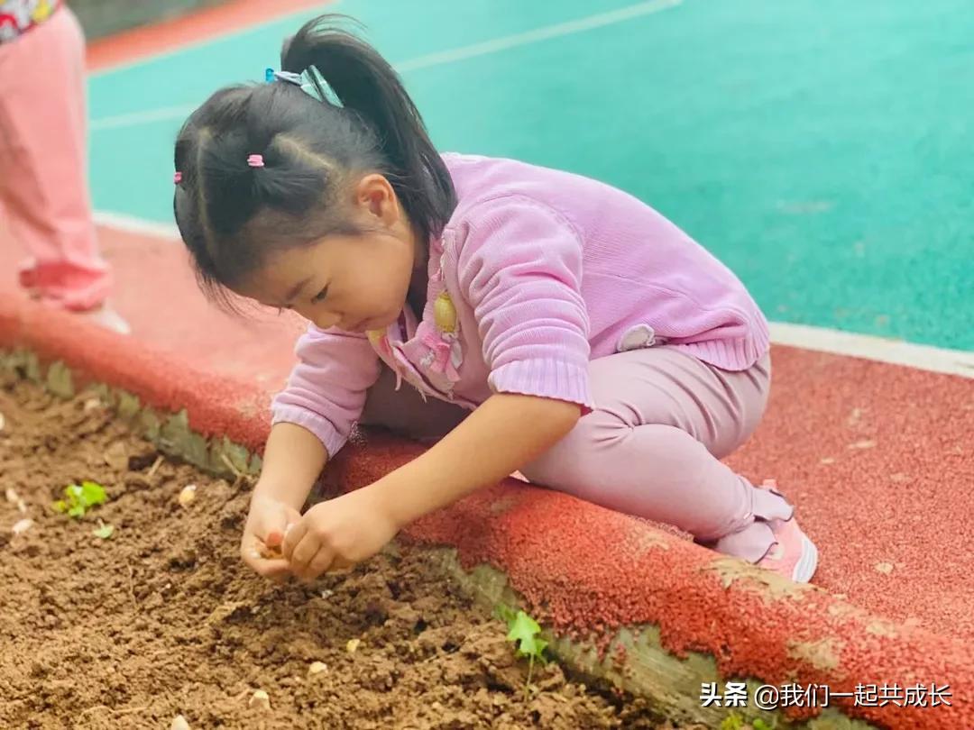 寻一抹秋色，遇一片美好：济南市启明星幼儿园的秋之美