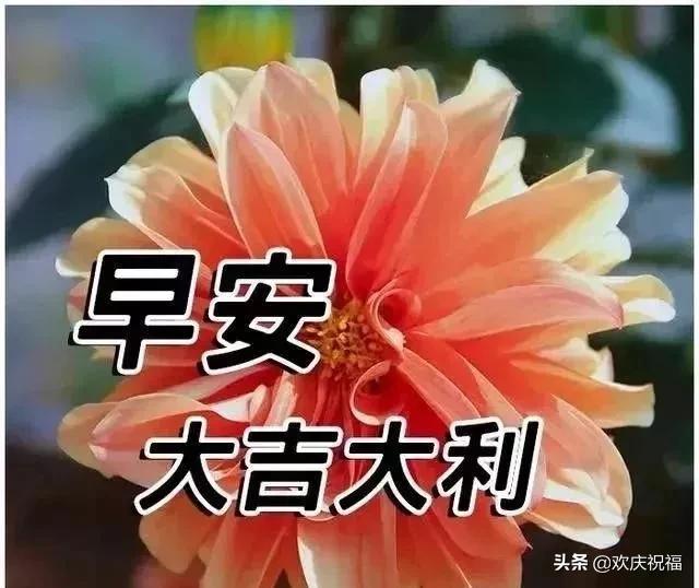 时光太短,多少守望物是人非;世态炎凉,多少缘分人走茶凉,早安