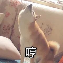 吃瓜沙雕表情包,看瓜群众表情包