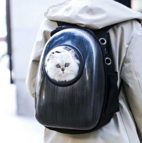 猫狗夏天会热中暑吗,中暑怎么刮痧中暑的急救小妙招