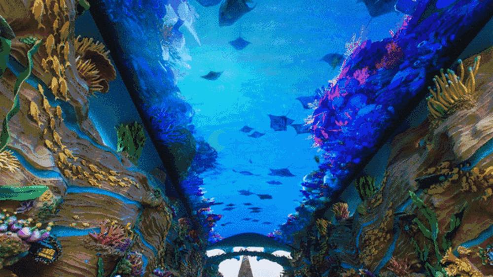 特区中的特区横琴,横琴新区哪个区发展前景好