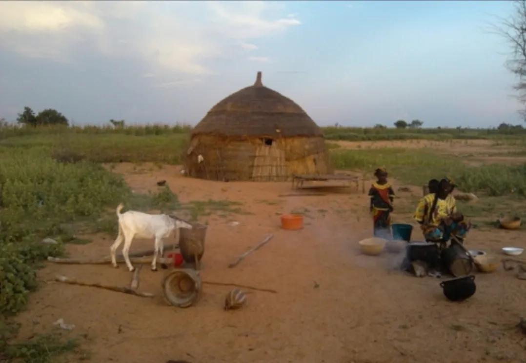 非洲最穷国家“尼日尔”，带你们看看他们的真实生活