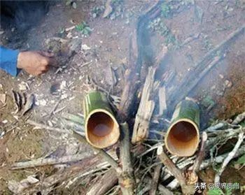 贵州茶海的春天有多美,贵州最美茶海