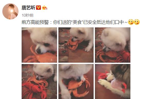 丽江众里寻他千百度,众里寻他千百度那人却在何处