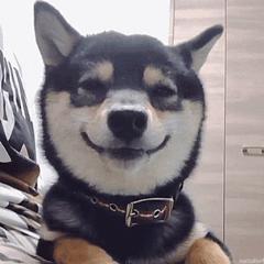 医美做什么能永远不长痘,脸很多痘坑做什么医美