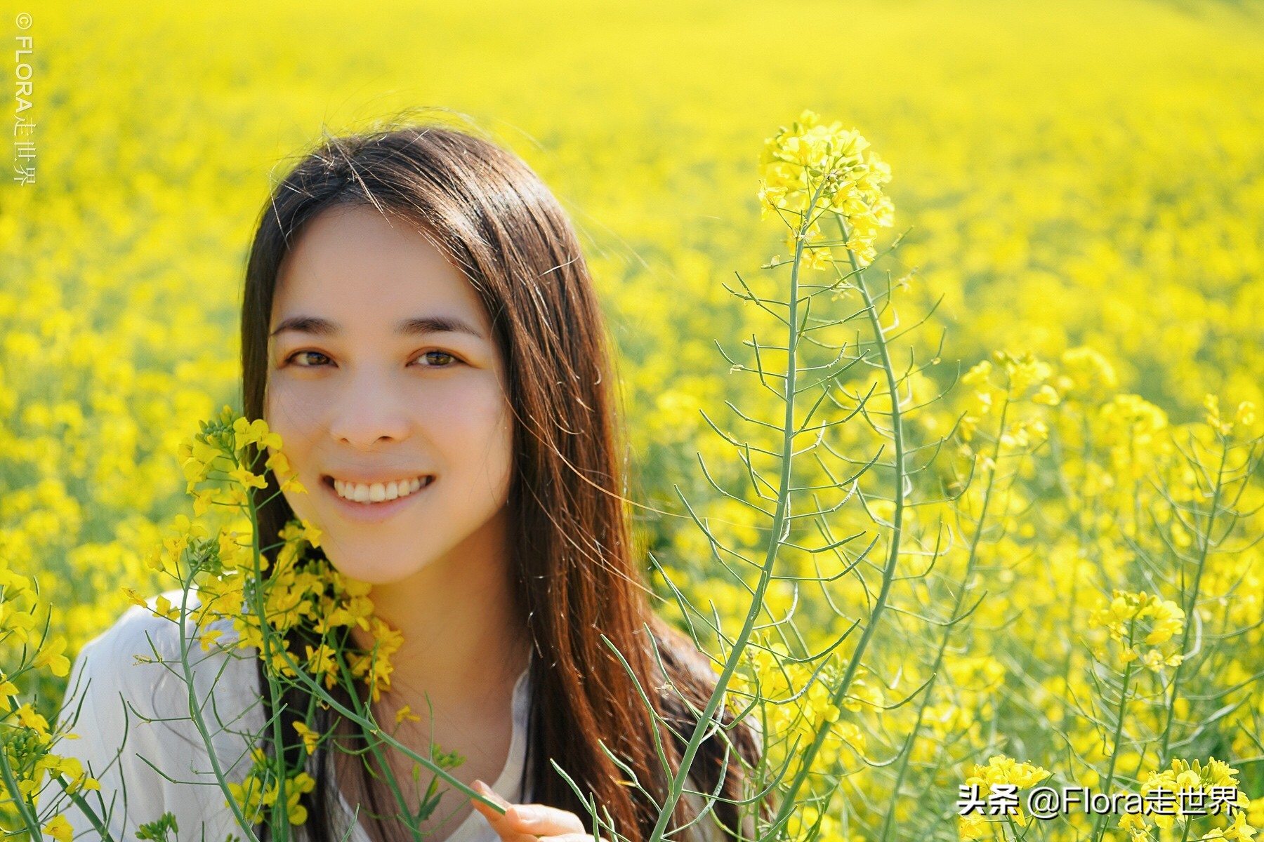 建水罗平元阳自由行攻略,云南元阳县旅游攻略路线