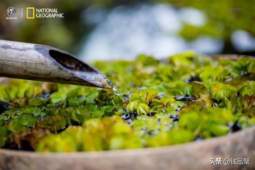寰行中国：广东广西的“水”，究竟藏了多少历史之谜？