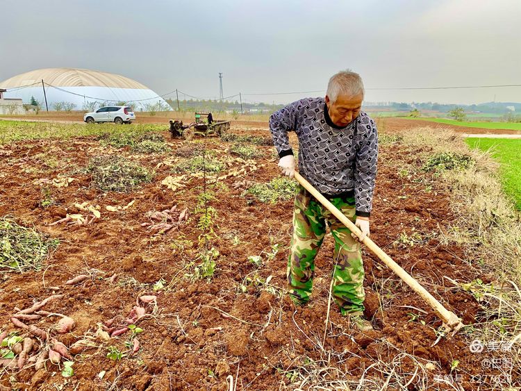 洛阳市宜阳凤凰岭射箭,宜阳县凤凰岭体育基地