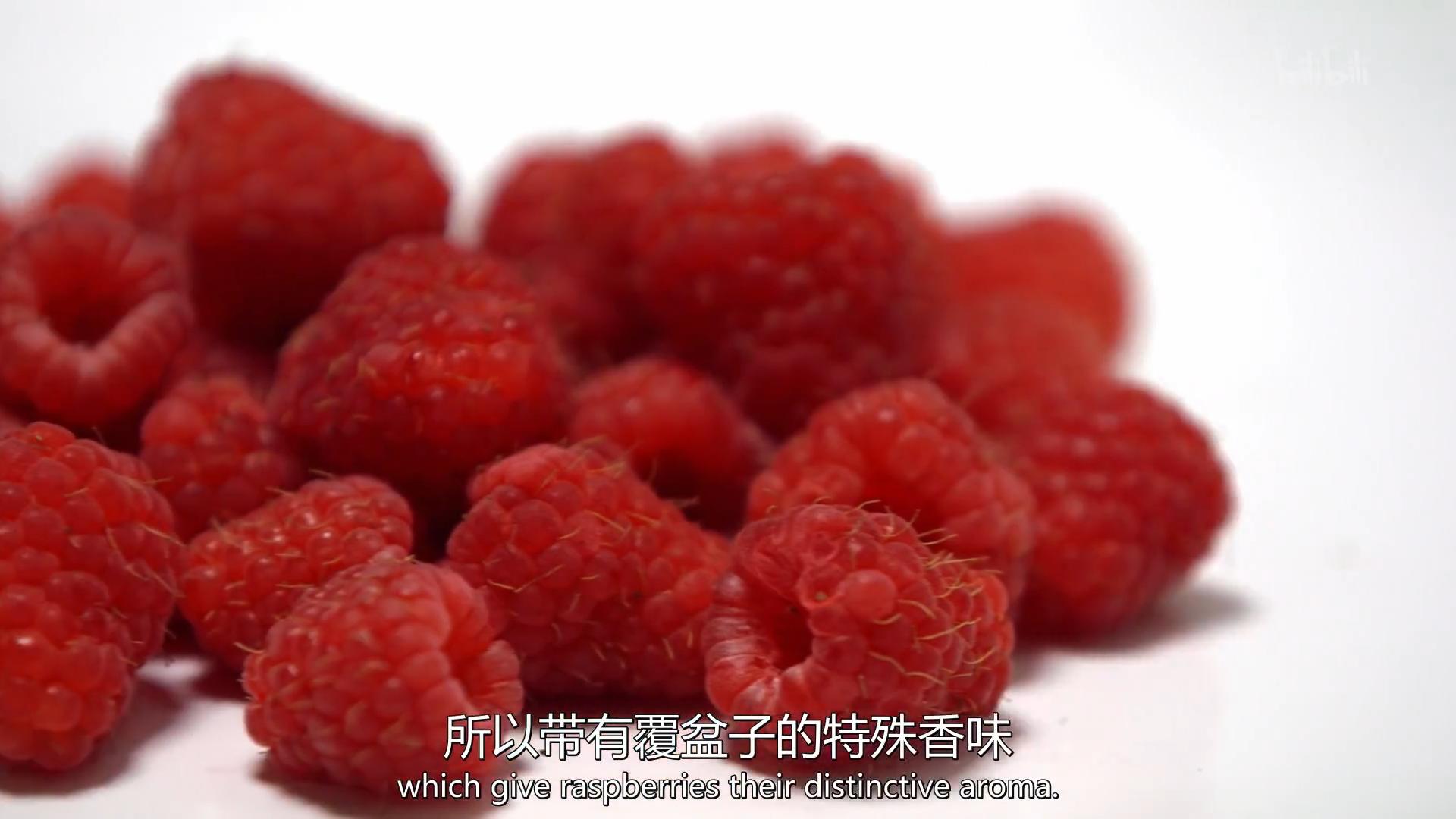 8小时减重11斤,减重8小时