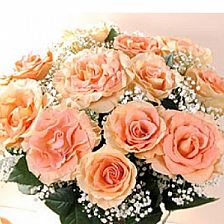 各种颜色的玫瑰花语,卡布奇诺玫瑰的花语