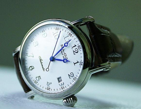 国产手表海鸥机芯有哪些不足,国产的海鸥手表怎么样