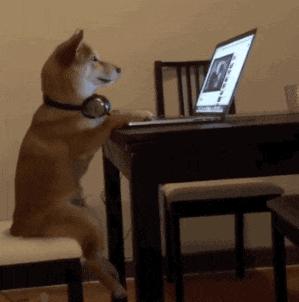 怎么幽默风趣的自我介绍,搞笑的自我介绍幽默的句子