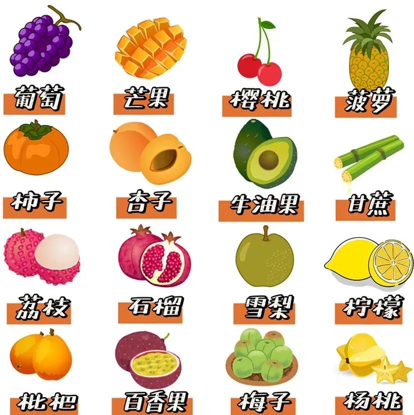 狗狗刚到家铲屎官注意事项,铲屎官必知的6个狗狗喂养好习惯