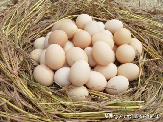 夏天，鸡蛋别放冰箱了！外婆教我2个方法，1个月不坏，和鲜蛋一样