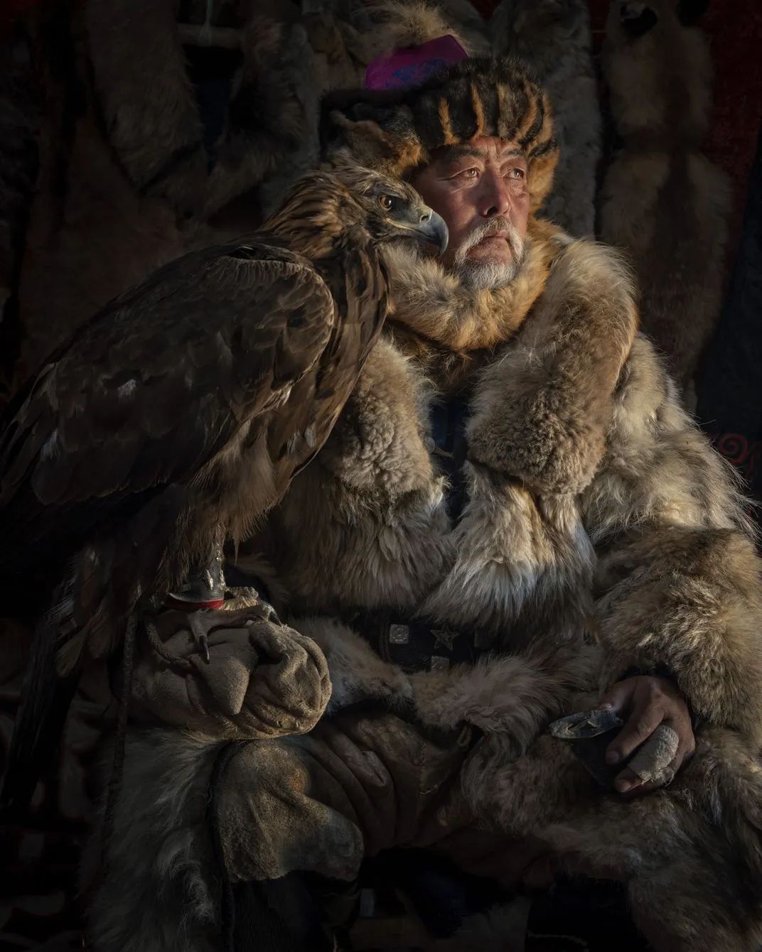 世界优秀获奖摄影作品,摄影大赛获奖作品欣赏