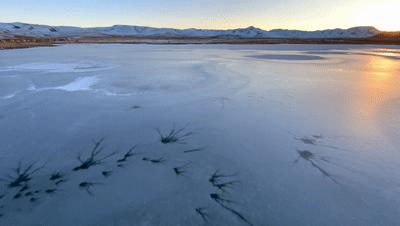 真羡慕那些拍照不用修图的女孩子,为什么那么多人喜欢iphone拍照