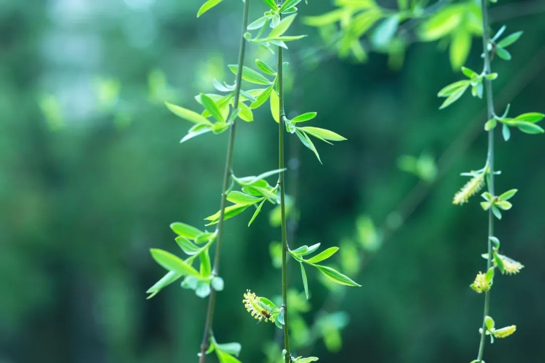 绑架幼女案件,绑架幼女案